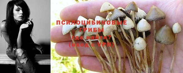 ALPHA PVP Ладушкин