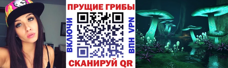 KRAKEN как зайти  Беслан  Галлюциногенные грибы Magic Shrooms 