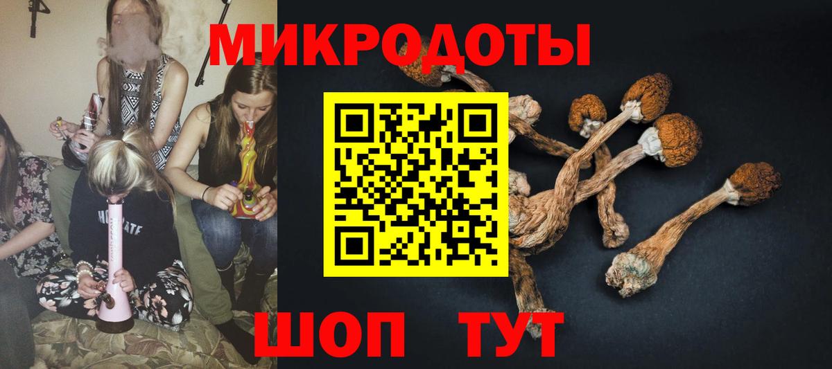 Псилоцибиновые грибы мицелий  Вход с VPN  купить наркоту  Беслан 